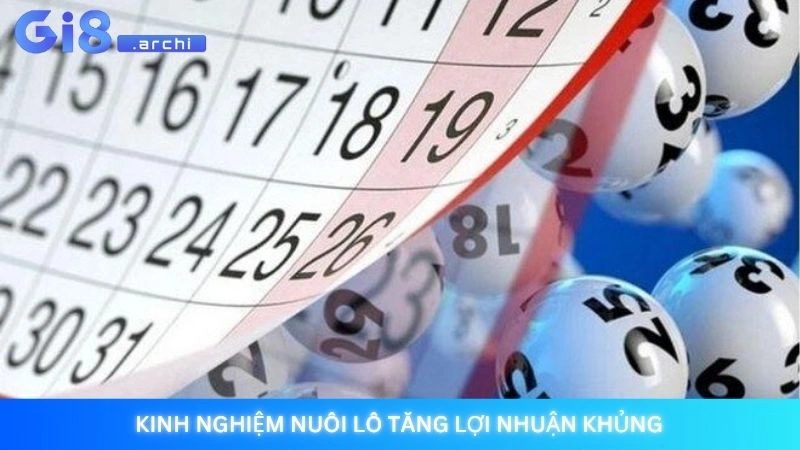 Kinh nghiệm nuôi lô tăng lợi nhuận khủng